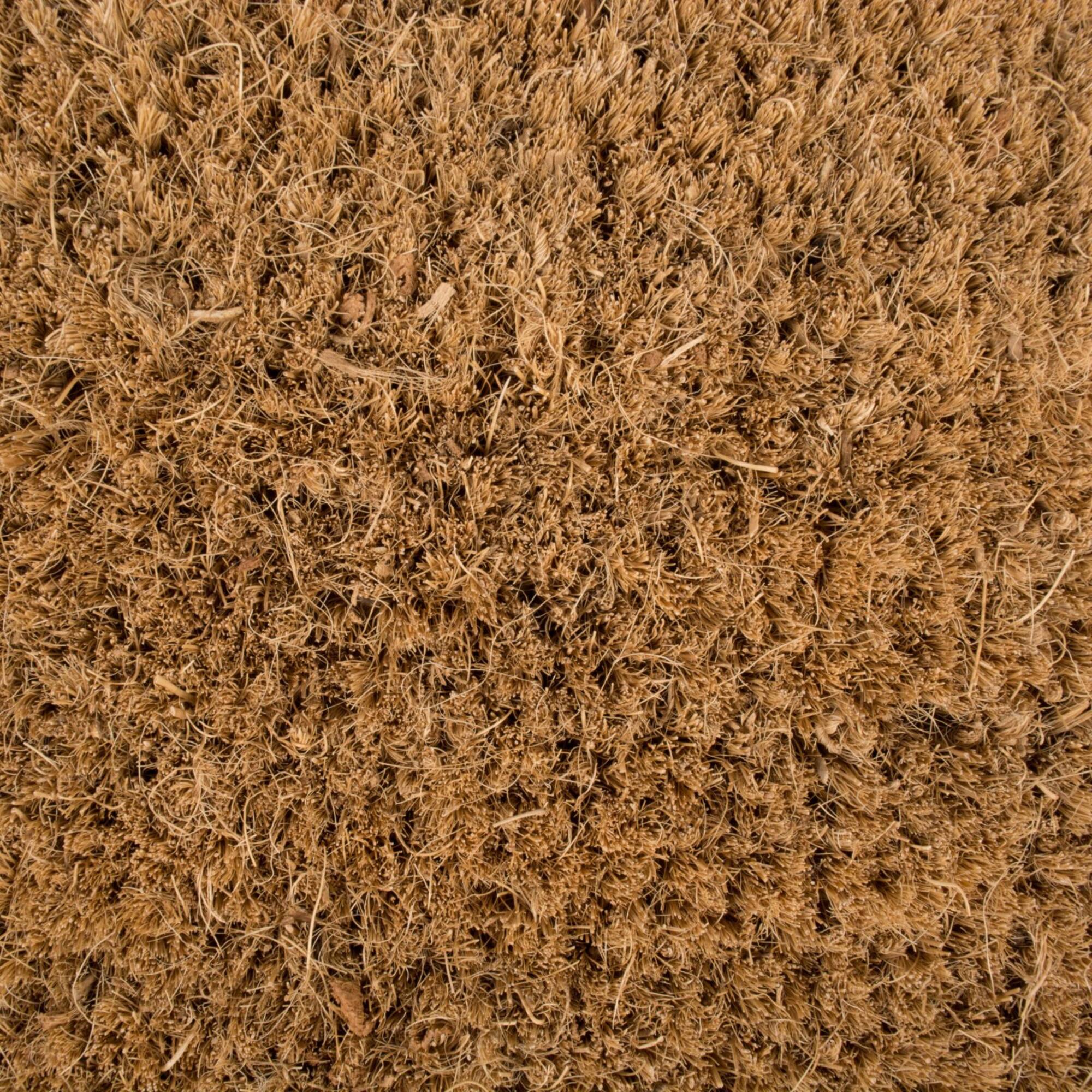 DII® Welcome Woods Doormat